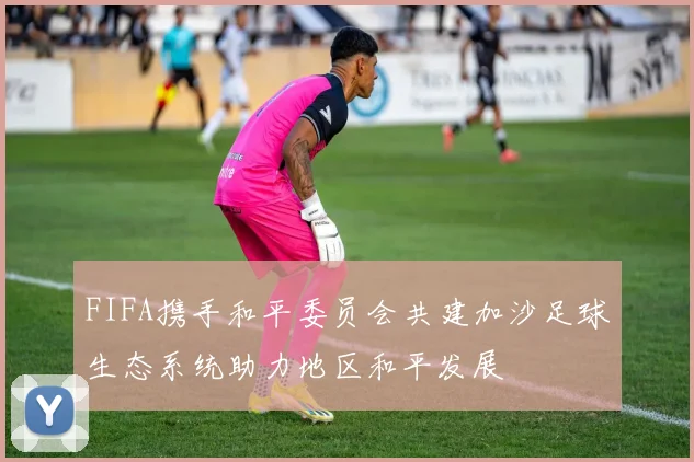 FIFA携手和平委员会共建加沙足球生态系统助力地区和平发展