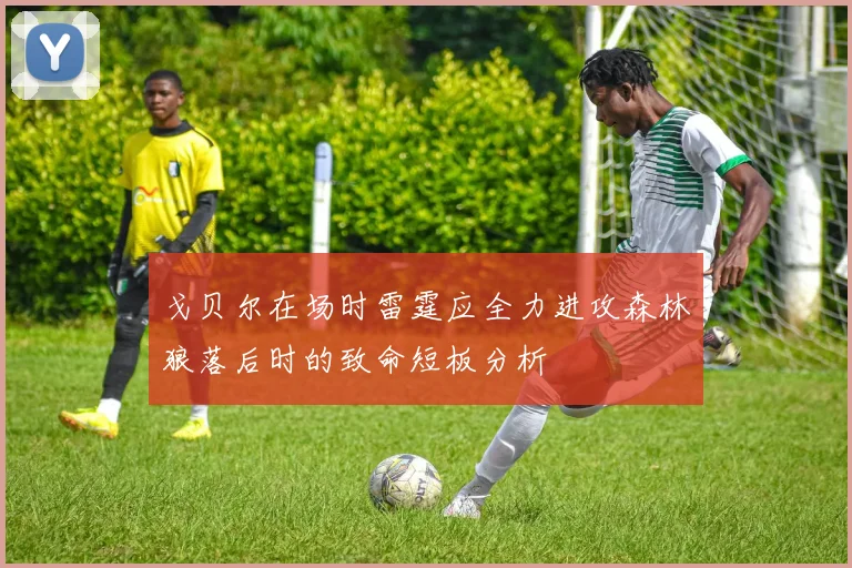 戈贝尔在场时雷霆应全力进攻森林狼落后时的致命短板分析
