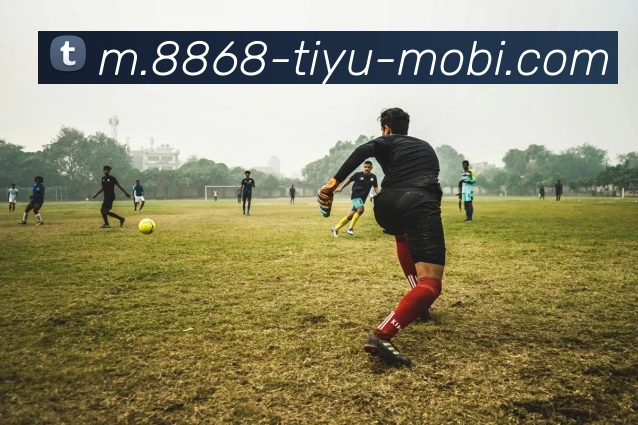 8868体育APP 高清赛事图